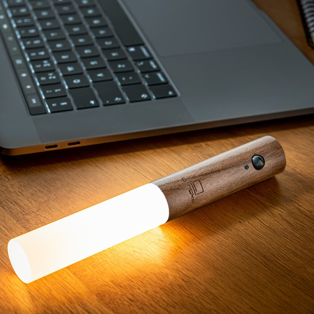 modernes Fackellicht mit Bewegungsmelder – Elegante und kabellose LED-Beleuchtung-6