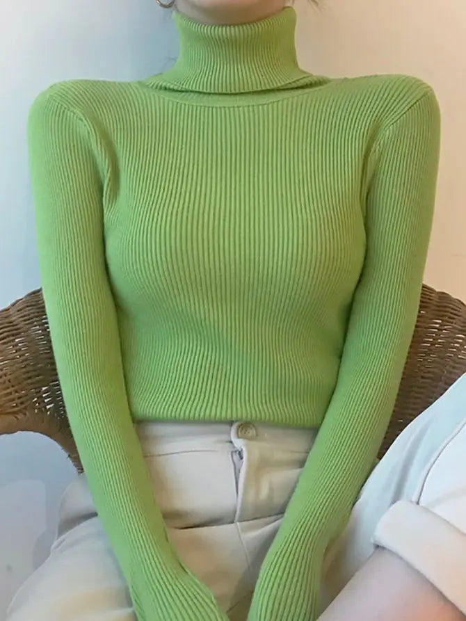 Damenpullover mit Rollkragen und klassischer Passform