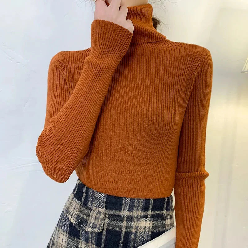 Damenpullover mit Rollkragen und klassischer Passform