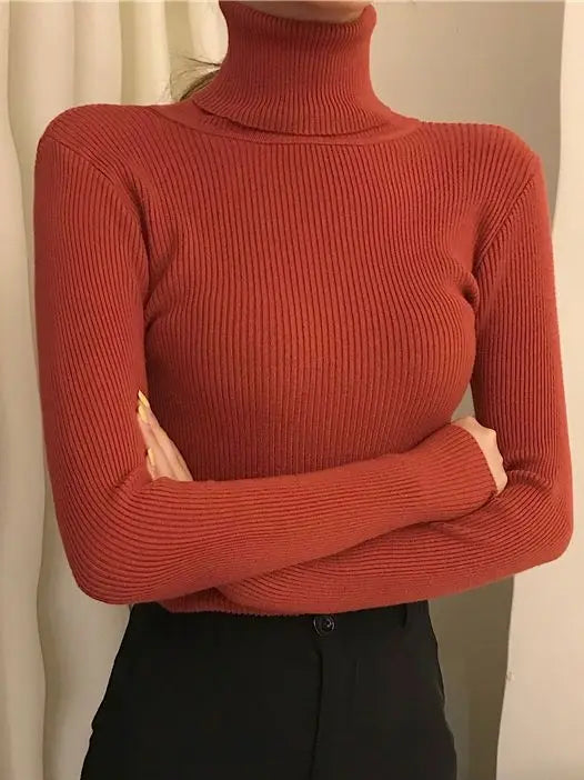 Damenpullover mit Rollkragen und klassischer Passform